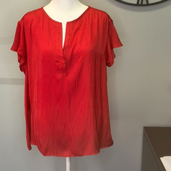 The Limited - Picture 1 of 6